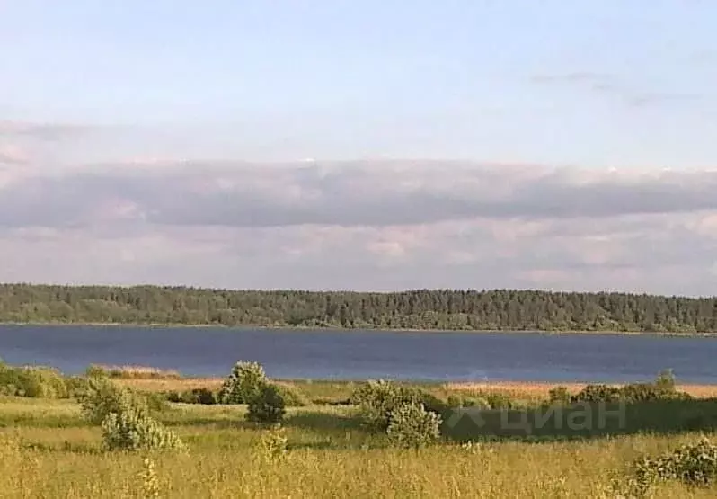 Участок в Псковская область, Пушкиногорский район, Велейская волость, ... - Фото 1