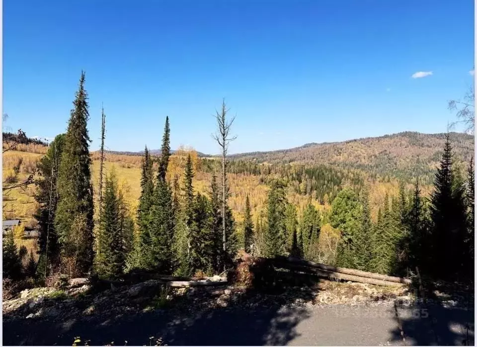 Участок в Алтай, Чемальский район, Элекмонарское с/пос, с. Элекмонар  ... - Фото 0