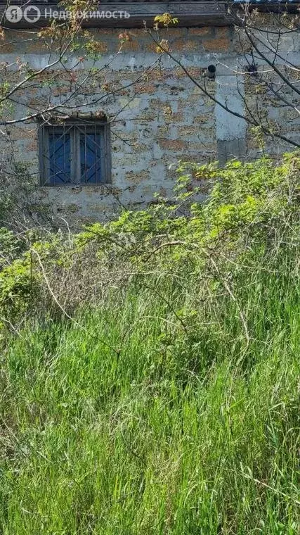 Участок в Феодосия, улица Афанасия Никитина, 29 (7 м) - Фото 1