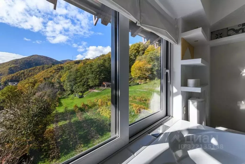 Студия Краснодарский край, Сочи Красная Поляна пгт, ул. Калиновая, 9А ... - Фото 1