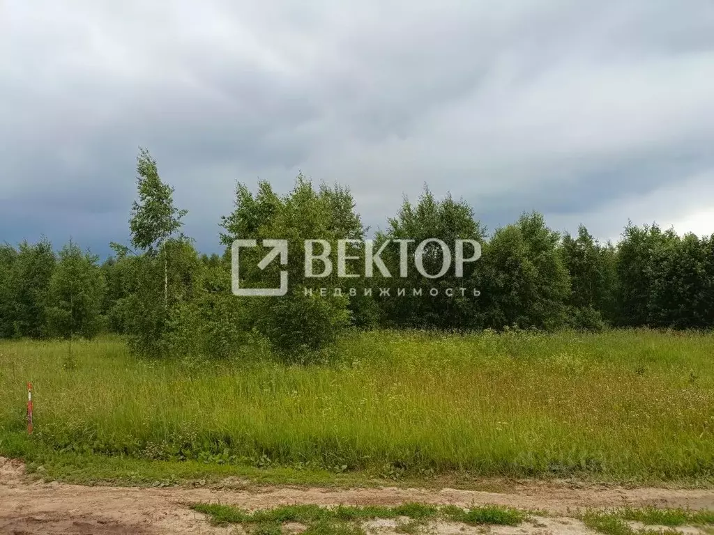 Участок в Ивановская область, Кинешемский район, Наволокское городское ... - Фото 2