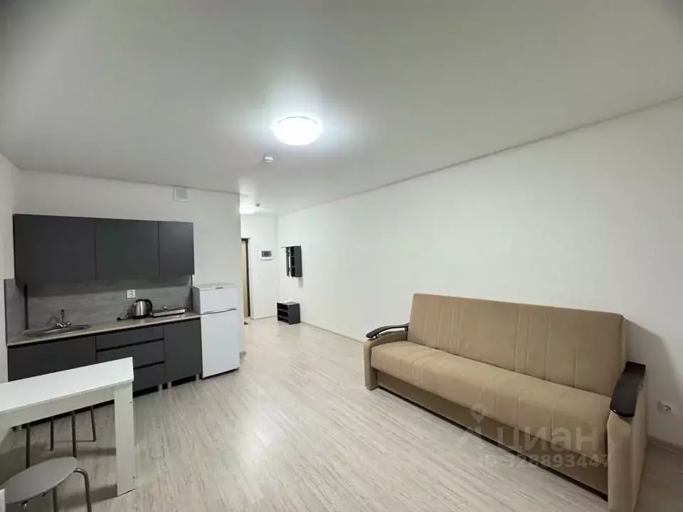 Студия Свердловская область, Екатеринбург ул. Фрунзе, 31/2 (27.5 м) - Фото 2