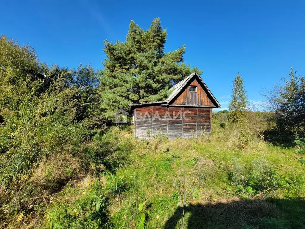 Участок в Еврейская автономная область, Смидовичский район, Каравай ... - Фото 0