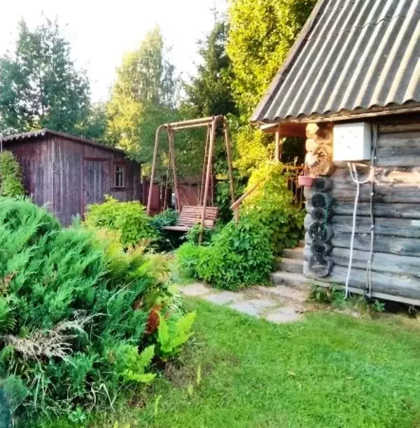 Дом в Псковская область, Псковский район, Завеличенская волость, д. ... - Фото 1