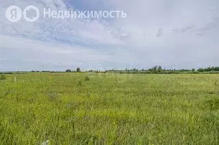 Участок в Тюменский район, садоводческое некоммерческое товарищество ... - Фото 0