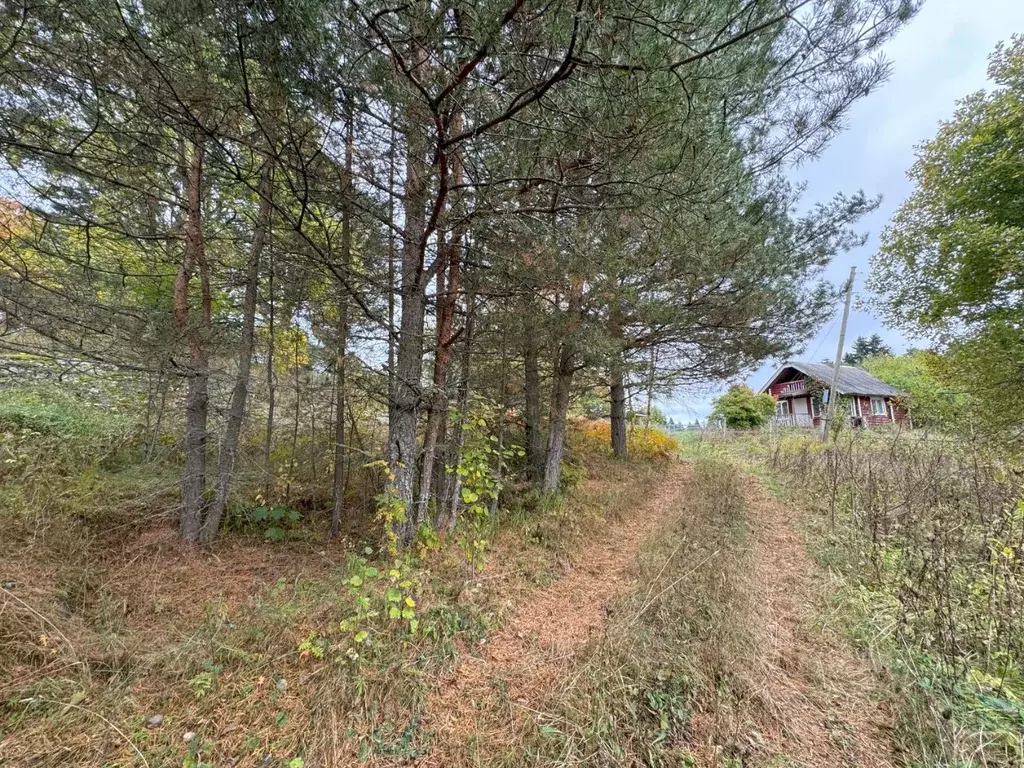 Дом в Карелия, Сортавальский муниципальный округ, пос. Нукутталахти  ... - Фото 0
