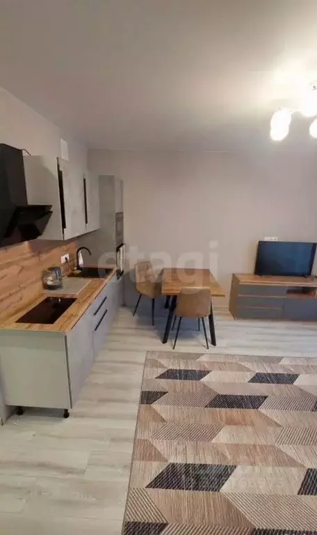 Студия Новосибирская область, Новосибирск ул. Никитина, 67 (29.0 м) - Фото 2