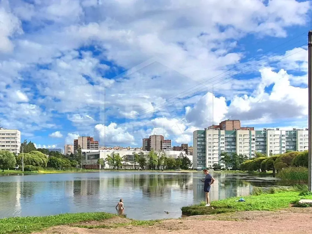2-к кв. Санкт-Петербург просп. Просвещения, 69 (49.0 м) - Фото 0