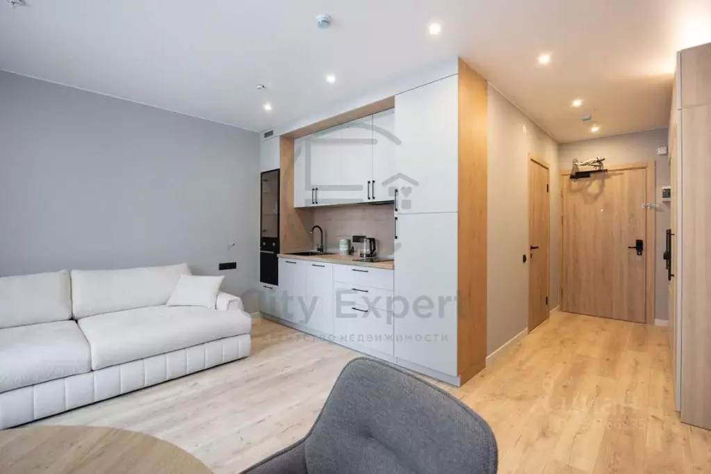 Студия Санкт-Петербург просп. Энергетиков, 2к2 (28.2 м) - Фото 1