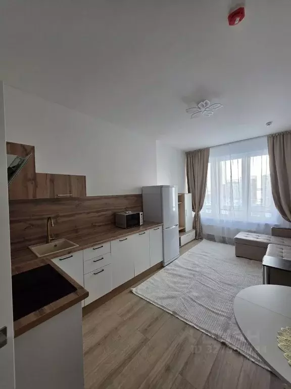 Студия Санкт-Петербург наб. Миклухо-Маклая, 3к1 (22.8 м) - Фото 2