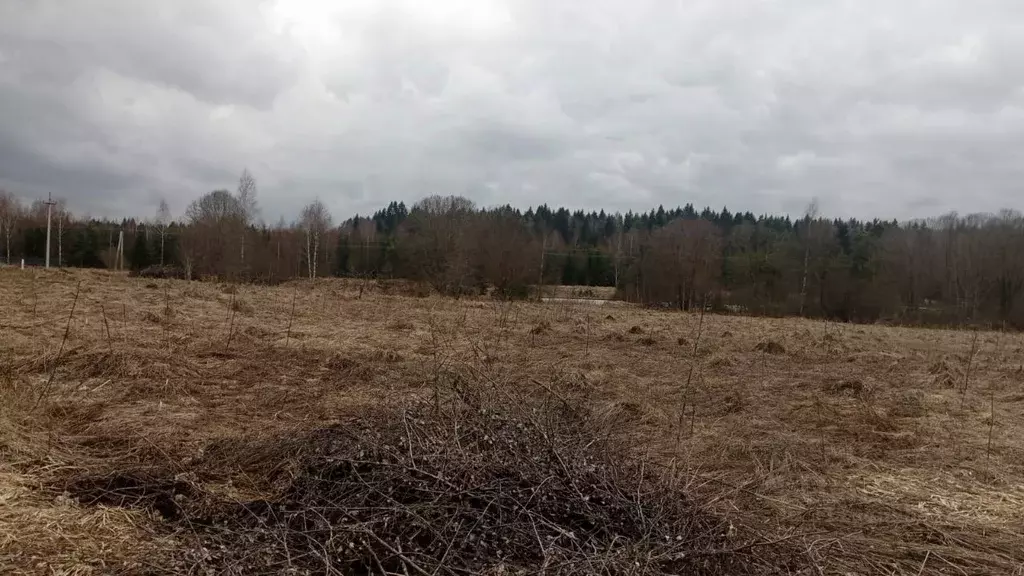 Участок в Московская область, Можайский муниципальный округ, д. ... - Фото 0