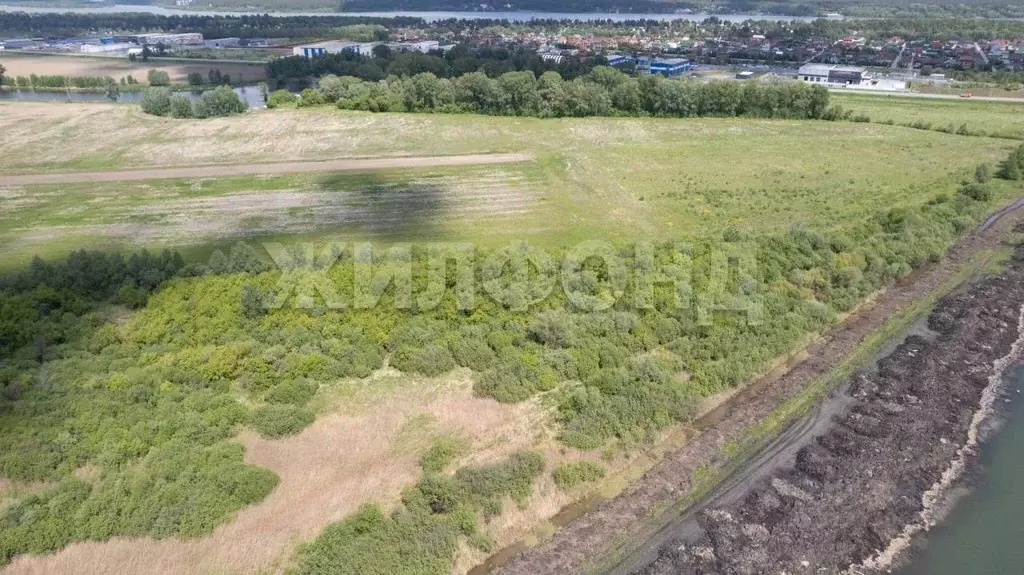 Участок в Новосибирская область, Новосибирский район, Кудряшовский дп  ... - Фото 0