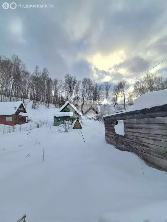 Участок в Плотниковский сельсовет, СТ Домостроитель, Заречная улица, ... - Фото 2