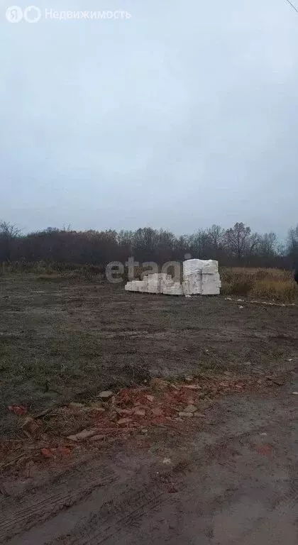 Участок в Калининградская область, Гурьевский муниципальный округ, ... - Фото 0