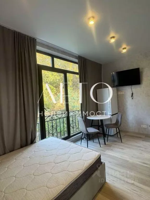 Студия Краснодарский край, Сочи ул. Мира, 177А/13 (23.0 м) - Фото 2