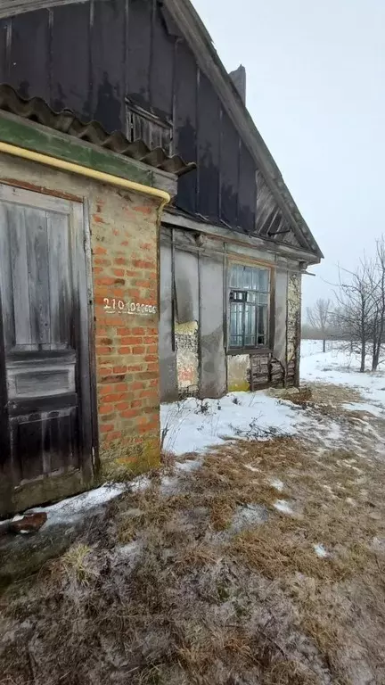 Офис в Курская область, Фатежский район, Верхнелюбажский сельсовет, с. ... - Фото 1