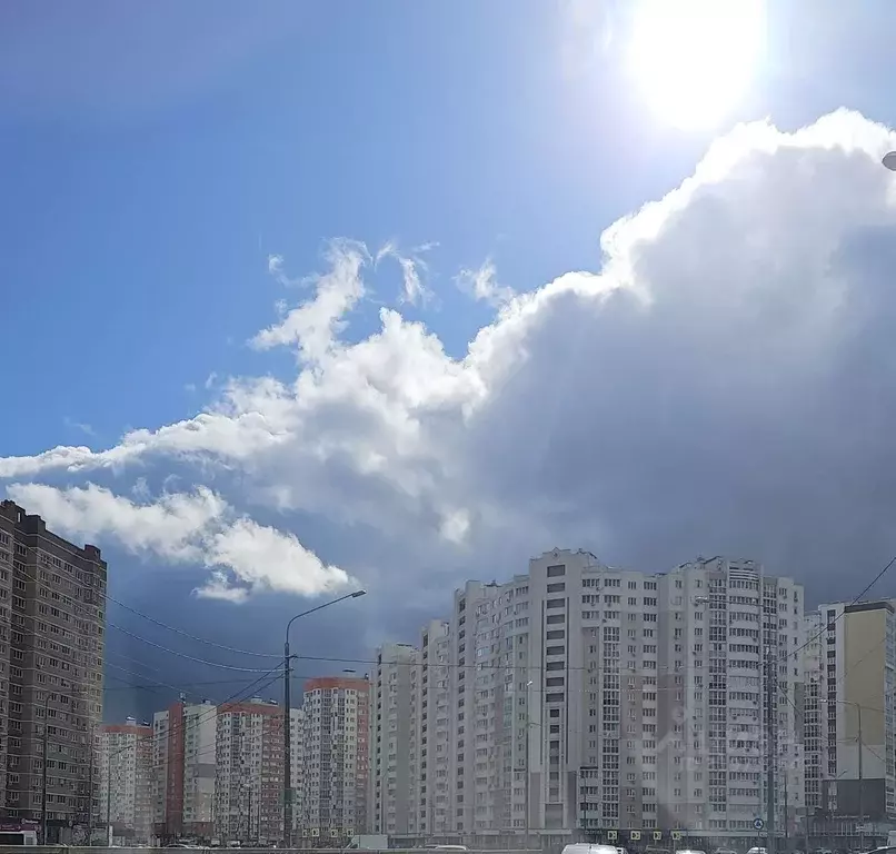 2-к кв. Липецкая область, Липецк ул. И.В. Свиридова, 18 (69.6 м) - Фото 0