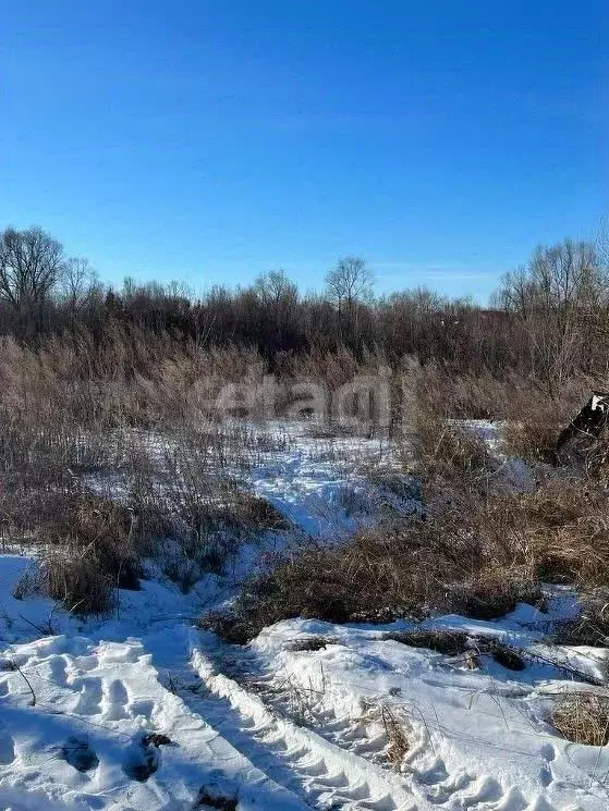 Участок в Амурская область, Благовещенский район, Станичное тер.  ... - Фото 0