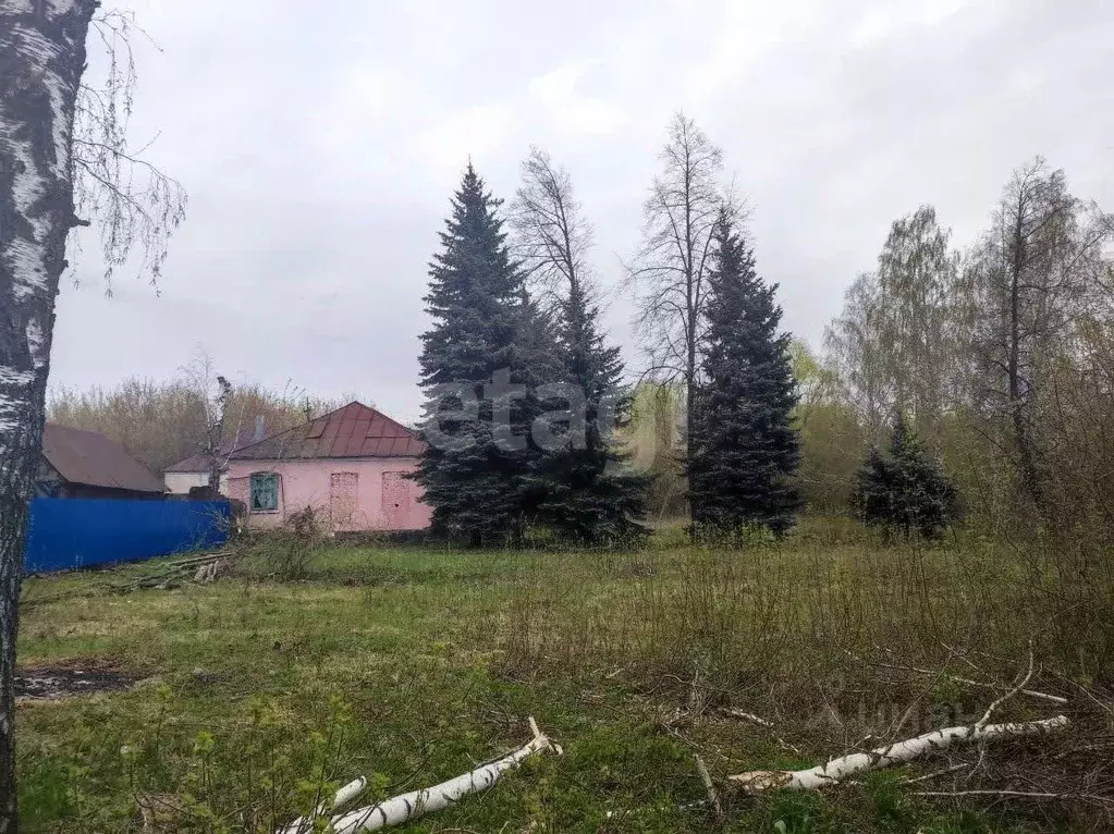 Дом в Липецкая область, Усманский муниципальный округ, Дрязги ж/д_ст ... - Фото 1