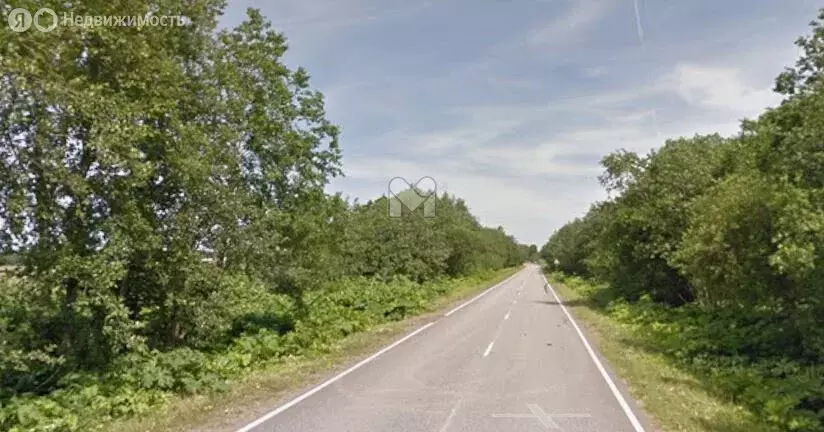 Участок в Кировский район, Суховское сельское поселение, деревня Сухое ... - Фото 2