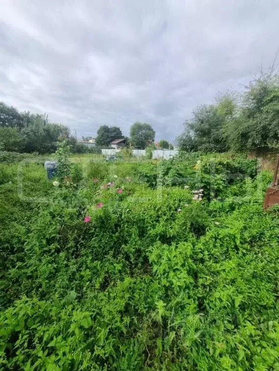 Участок в Амурская область, Благовещенск Кузнечная ул., 118 (7.5 сот.) - Фото 2