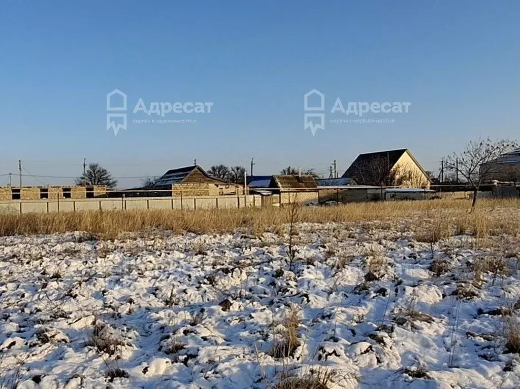 Участок в Волгоградская область, Быково рп ул. Дачная (12.0 сот.) - Фото 0