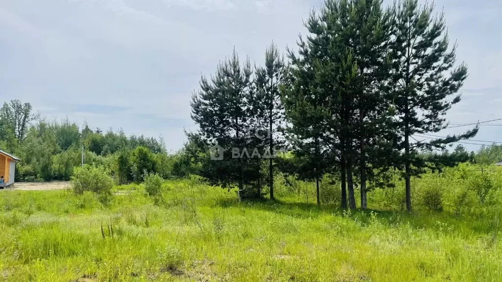 Участок в Московская область, Лосино-Петровский городской округ, д. ... - Фото 1