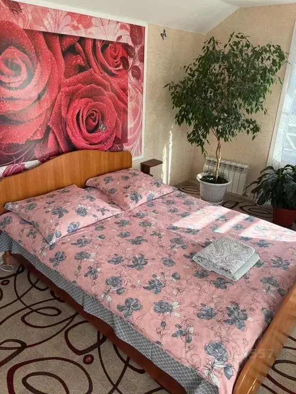 Комната Ленинградская область, Лодейное поле ул. Рабоче-Крестьянская, ... - Фото 1