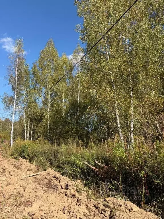 Участок в Московская область, Ступино городской округ, д. Акатово  ... - Фото 1
