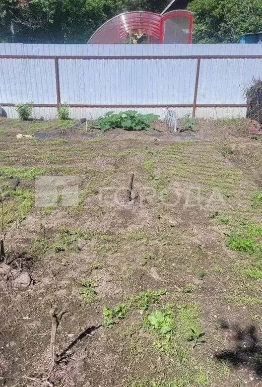 Участок в Новосибирская область, Искитимский район, Морозовский ... - Фото 0