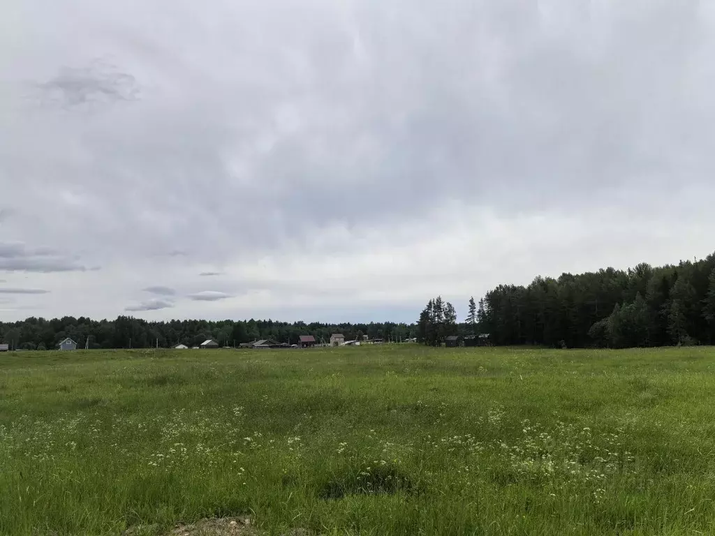 Участок в Ленинградская область, Ломоносовский район, Лопухинское ... - Фото 1