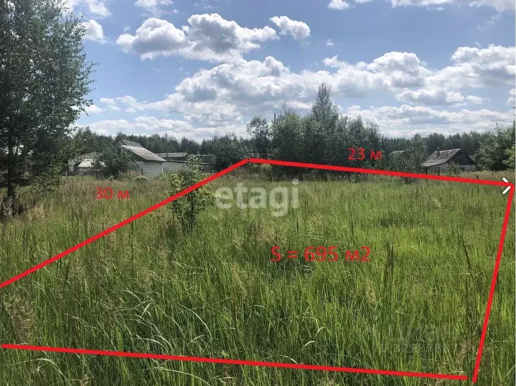 Участок в Брянская область, Жуковский муниципальный округ, с. Ржаница ... - Фото 1