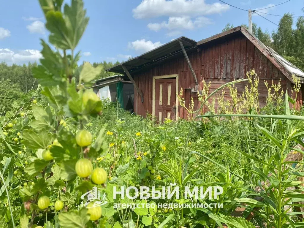 Дом 15 м на участке 5,4 сот. - Фото 1