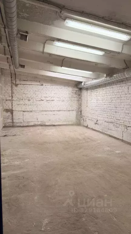 Помещение свободного назначения в Санкт-Петербург ш. Революции, 31 (30 ... - Фото 2