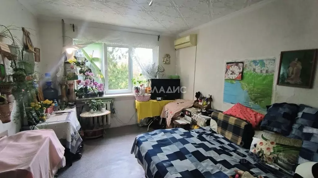 Комната Краснодарский край, Геленджик ул. Кирова, 66 (18.3 м) - Фото 1