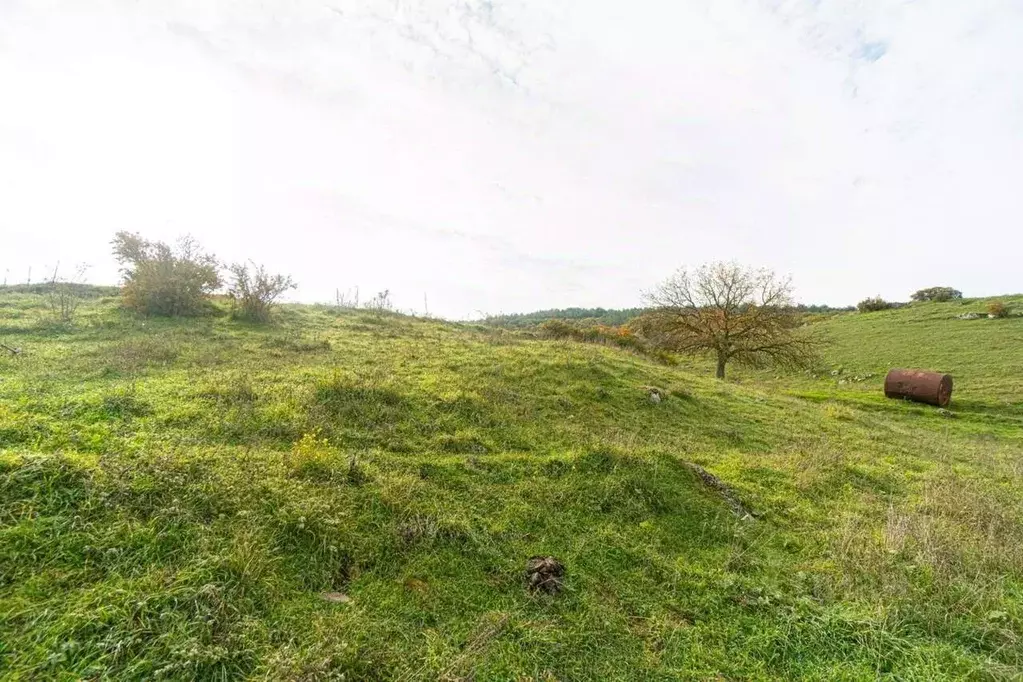 Участок в Севастополь с. Камышлы,  (10.0 сот.) - Фото 0