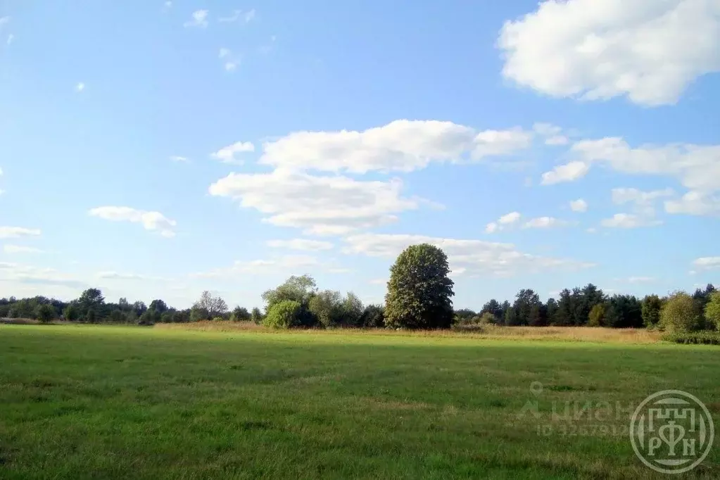 Участок в Ленинградская область, Выборгский район, Красносельское ... - Фото 1