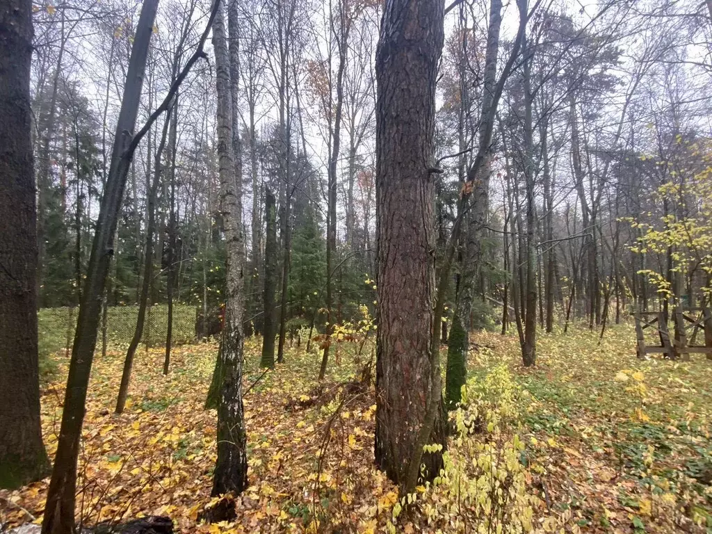 Участок в Московская область, Серпухов городской округ, д. ... - Фото 2