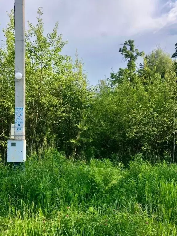 Участок в Московская область, Дмитровский муниципальный округ, ... - Фото 2