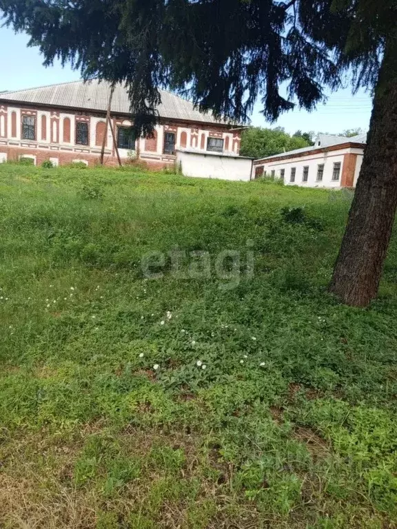 Помещение свободного назначения в Алтайский край, Алтайский район, с. ... - Фото 0