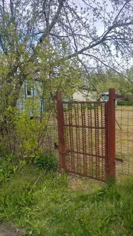 Участок в Калужская область, Ферзиковский муниципальный округ, Красный ... - Фото 2