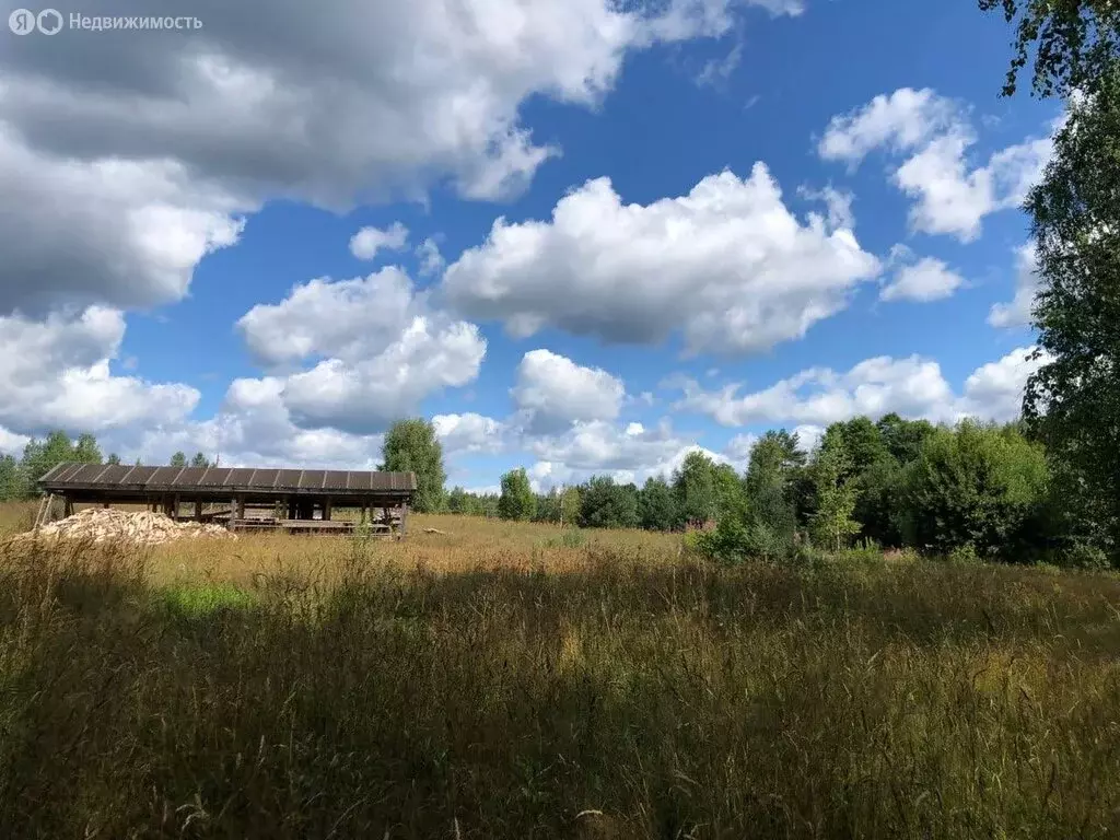 Участок в Новгородская область, Демянский муниципальный округ, деревня ... - Фото 1