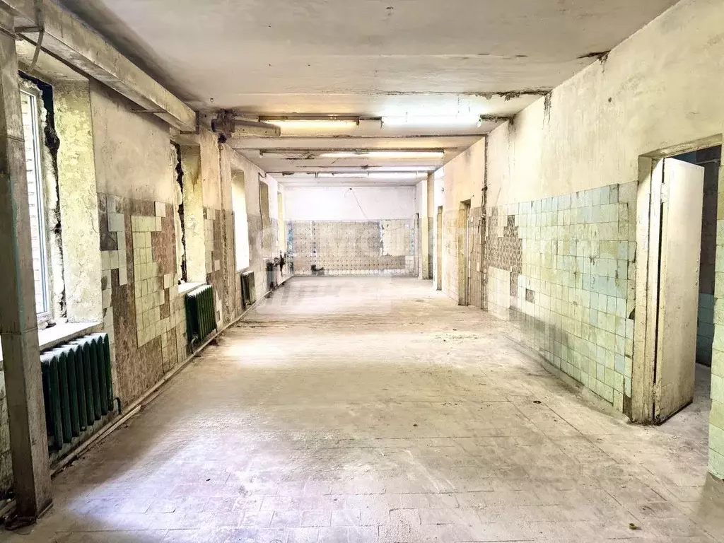 Помещение свободного назначения в Московская область, Дмитров ... - Фото 1