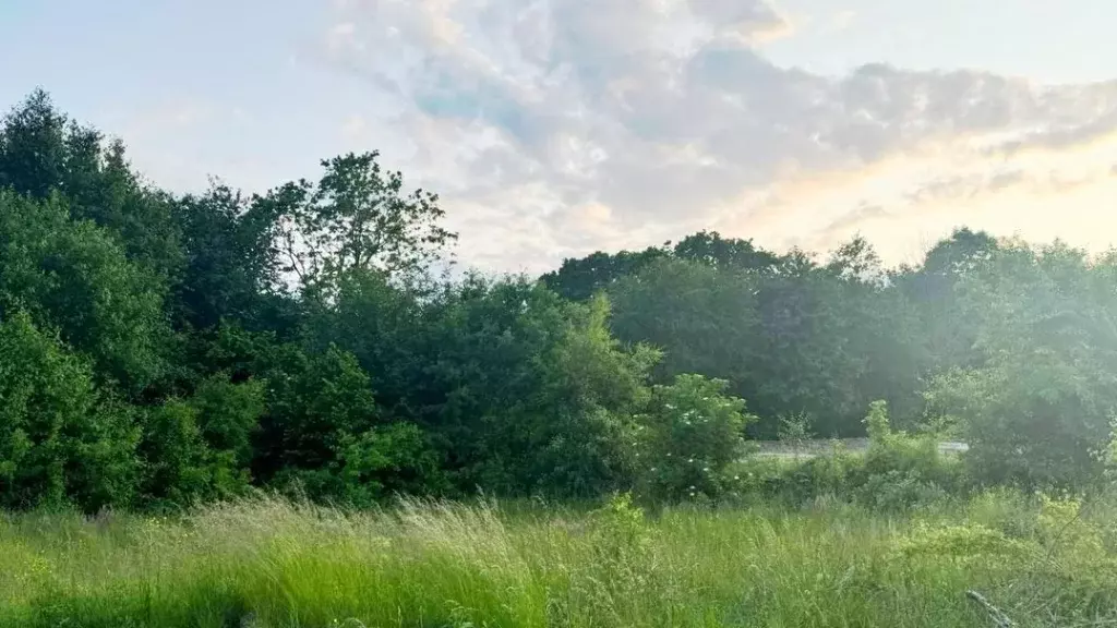 Участок в Калининградская область, Калининград  (6.0 сот.) - Фото 1