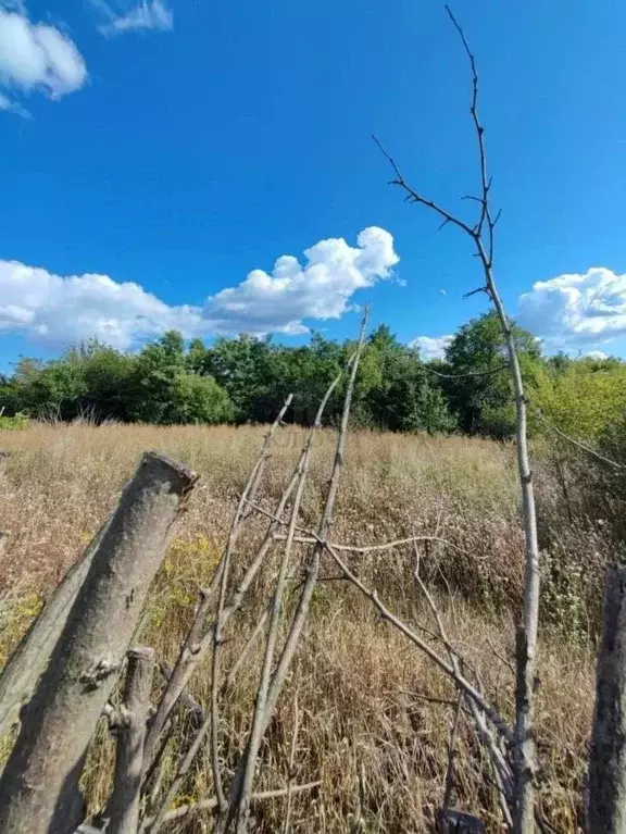Участок в Белгородская область, Белгородский район, Северный городское ... - Фото 2