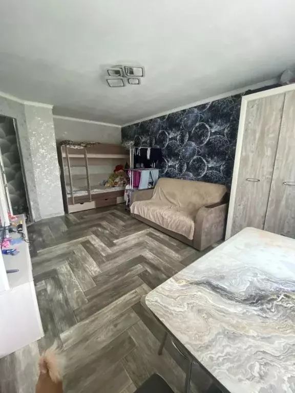 1-к кв. Псковская область, Великие Луки Вокзальная ул., 8 (29.0 м) - Фото 1