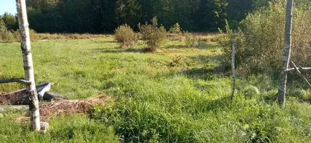 Участок 11 сот. (СНТ, ДНП) - Фото 0