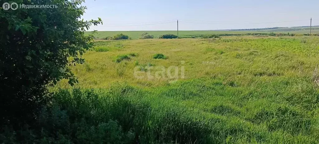 Участок в Белгородская область, рабочий посёлок Волоконовка, ... - Фото 0