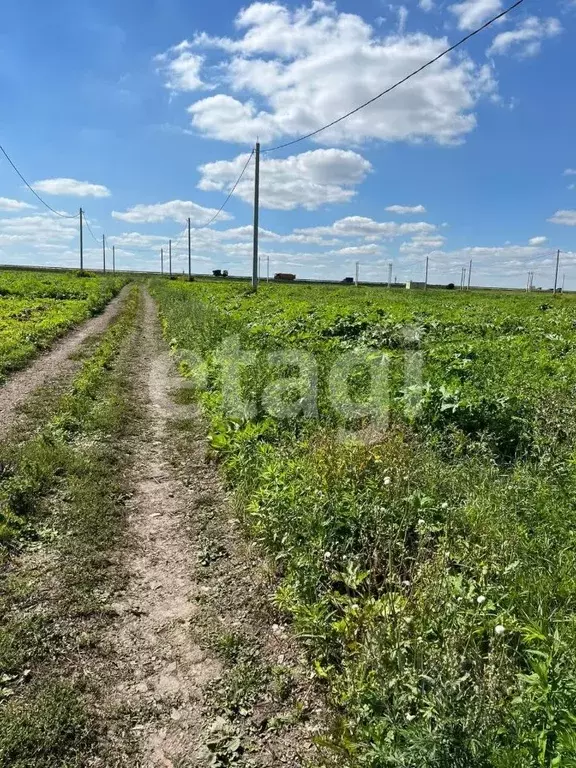 Участок в Тульская область, Новомосковский район, с. Гремячее ул. ... - Фото 1