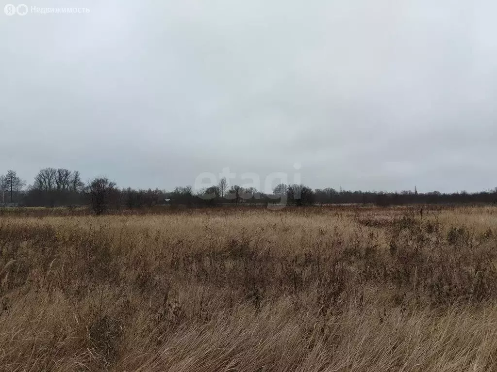 Участок в село Староживотинное, Дивнолесная улица (12.27 м) - Фото 1